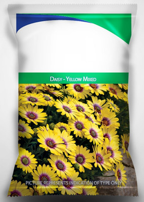 Qualtivate PUAS-171 Daisy - Yellow Mixed Flower Seeds Seed(50 per packet)