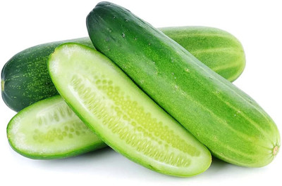 CRGO CUCUMBER , KHEERA Seed(40 per packet)
