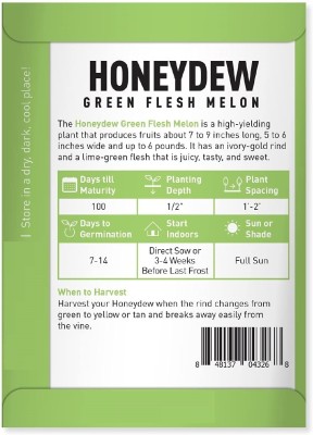 Biosnyg Musk Melon Honeydew Seed(800 per packet)