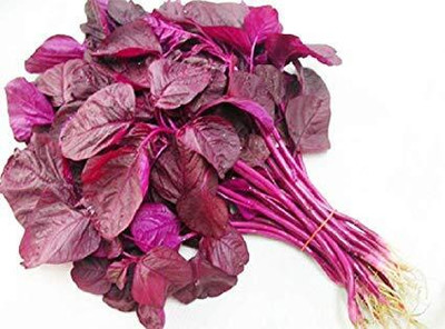 Qualtivate HYB-6A Red Spinach - Amaranthus(Red) Seed(300 per packet)