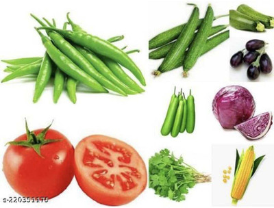 Plantzone all mixed vegetable seeds Seed(450 per packet)