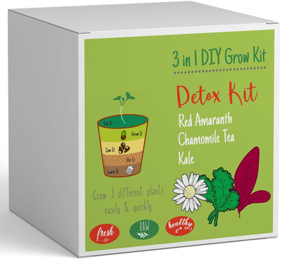 VibeX ™ RDX-5-Grow from Seeds – Kale, Chamomile Tea, Red Amaranth. Seed(30 per packet)