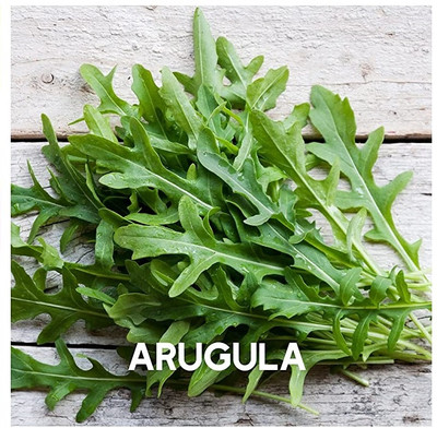 Qualtivate ICRA-9A Arugula Seed(300 per packet)