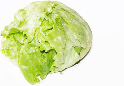 CYBEXIS Round Shape Lettuce Seeds4000 Seeds Seed(4000 per packet)