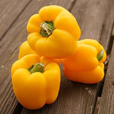 VibeX ® RXI-267 F1 Capsicum Yellow Hybrid Seeds Seed(200 per packet)