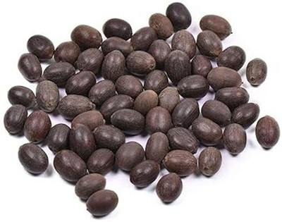jkfarm Lotus, Kamal Seed(18 per packet)
