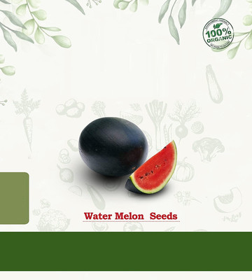 Qualtivate HUA-6A Desi Watermelon / Magaj Seeds Seed(100 per packet)