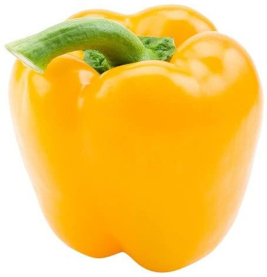 Aywal Bell Pepper - Shimla Mirch Capsicum Yellow ColorF1 Hybrid Seed(420 per packet)