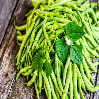 B.Amulya Enterprice Organic and high quality green beans Seed(50 per packet)
