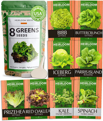 CYBEXIS Lettuce & Salad Greens Seed (8 Varities) Seed(10 g)