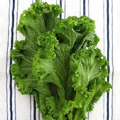 Qualtivate HUA-8A Mustard - Old Fashioned Seed(300 per packet)
