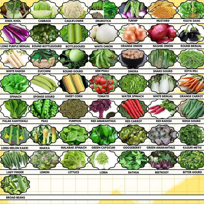 Greenery Hub Green Thumb 50 Vegetable Seed Combo Seed(50 per packet)
