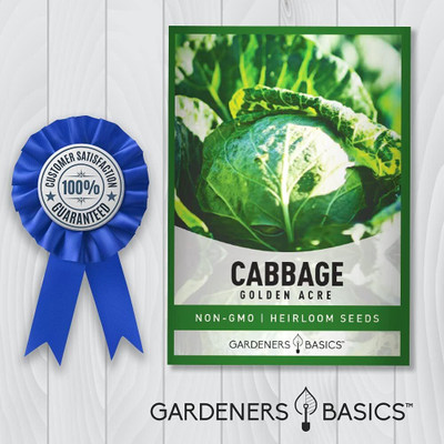 WILLVINE MEH -XIII Cabbage Seeds - Golden Acre Green [2.5g] Seed(750 per packet)