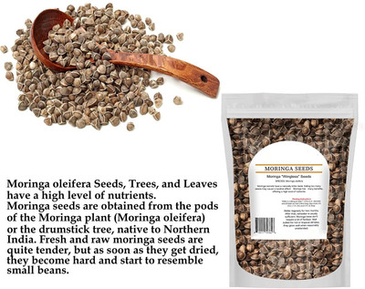 WILLVINE TLX-263 Premium Quality PKM1 Moringa Drumstick Seed(100 per packet)
