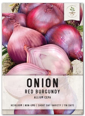 CYBEXIS LXI-22 - Red Burgundy Onion - (4500 Seeds) Seed(4500 per packet)