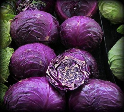 ibains Red cabbage seeds Bij pack of 135 Seed(135 per packet)