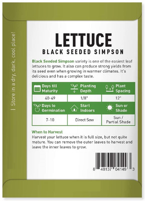Biosnyg Lettuce Green Leaf Black Seeded Simpson-[1000 Seeds] Seed(1000 per packet)