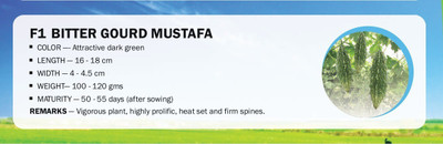 CYBEXIS F1 BITTER GOURD MUSTAFA(500 Seeds) Seed(500 per packet)