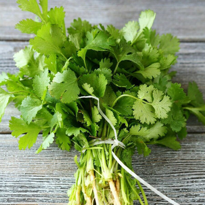 ZIXA Coriander- Eureka Slow Bolt Seed(2000 per packet)