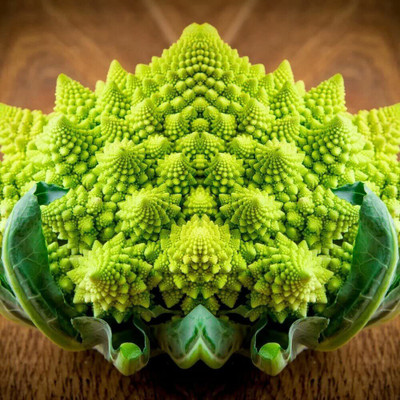 VibeX ® LXI-589 BROCCOLI ROMANESCO SEEDS Seed(200 per packet)