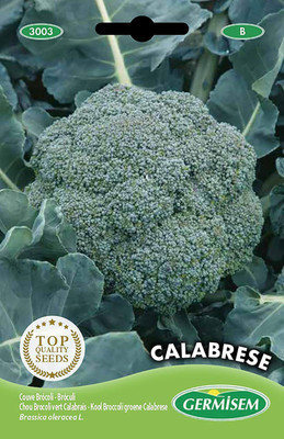 CYBEXIS Calabrese Broccoli Seeds2000 Seeds Seed(2000 per packet)
