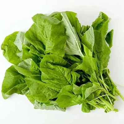 Aro Malabar Spinach, Malabar Seed(10 per packet)