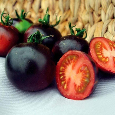 CYBEXIS Good Germination Rare Tomato Seeds2000 Seeds Seed(2000 per packet)