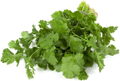 Cloud Farm Herb Seed(500 per packet)