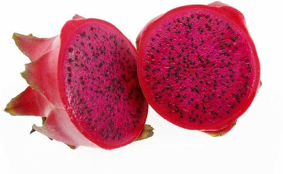 Oliver HIGH Quallity F1 hybrid Dragon fruit sees Seed(70 per packet)