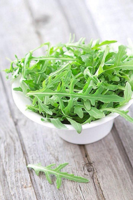 CYBEXIS Arugula Seeds Vegetable Garden2800 Seeds Seed(2800 per packet)