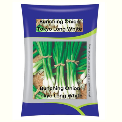 WILLVINE HUA -IX SPRING CUT BUNCHING ONION/PYAJ PATTA [25g] Seed(15000 per packet)