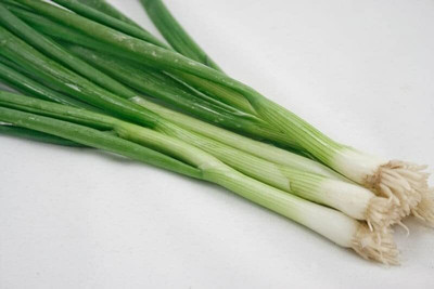 WILLVINE PUSA -IV Bunching Onion Tokyo Long White seeds [50g] Seed(30000 per packet)