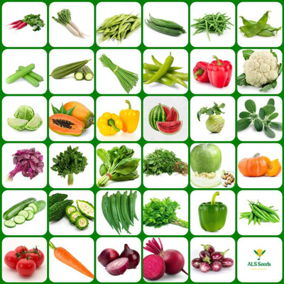 ibains Vegetable seeds for home garden summer Seed(320 per packet)