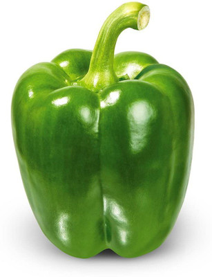 CYBEXIS HUA-82 - Green Capsicum Bell Pepper Shimla Mirch - (1350 Seeds) Seed(1350 per packet)