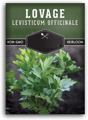 CYBEXIS VXI-87 - Lovage Herb - (250 Seeds) Seed(250 per packet)