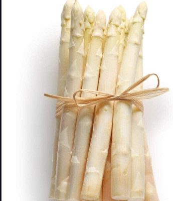 CYBEXIS Heirloom White Vegetable Asparagus Seeds 400 Seeds Seed(400 per packet)