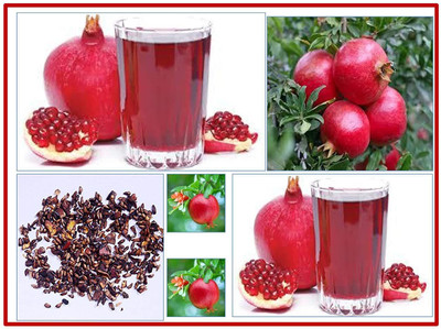 CYBEXIS GBPUT-10 - Red Pomegranate Bhagwa Anaar Sindoori - (270 Seeds) Seed(270 per packet)