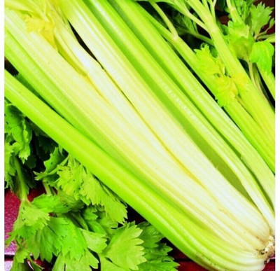 Quentova Vegetable - Celery Golden Self Blanching-11X-CTU Seed(100 per packet)