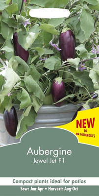 KNESSiN Abundant Yield Vegetable Brinjal Jewel Jet ( Seeds) Seed(2000 per packet)