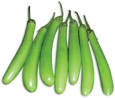 Biosnyg Open-Pollinated Long Green Brinjal Eggplant Vegetable ( Seeds) Seed(5000 per packet)