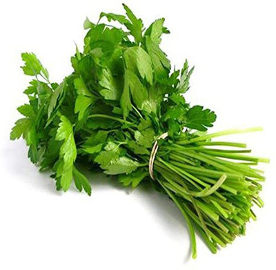 KANAYA Hybrid Coriander Green Seed(800 per packet)