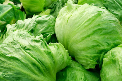 Aywal Lettuce Iceberg Seeds Hybrids F1 Vegetable Seeds for Home Garden Seed(70 g)