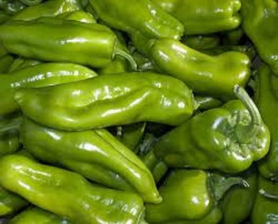 KNESSiN High Yield Cubanelle Sweet Pepper Seeds For Kitchen Gardening-(2400 Seeds) Seed(2400 per packet)