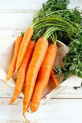 WILLVINE Vegetable - RHS Carrot Primo F1-[2000 Seeds] Seed(2000 per packet)