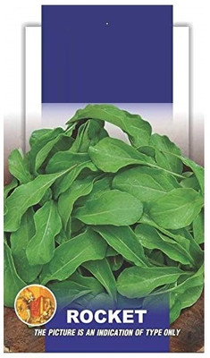 KNESSiN ARUGULA[400 Seeds] Seed(400 per packet)