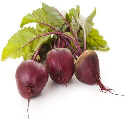 LPR CHUKANDAR,,BEETROOT Seed(20 per packet)