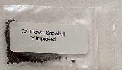 WILLVINE TLX-254 CAULIFLOWER F1 HYBRID SEEDS Seed(200 per packet)