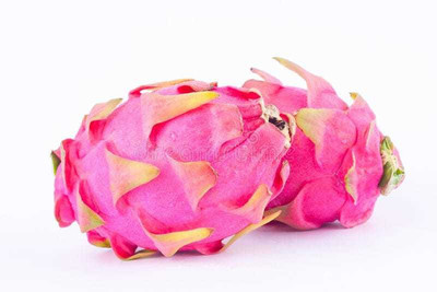 XOLDAA DRAGON FRUIT SEEDS Seed(8 per packet)