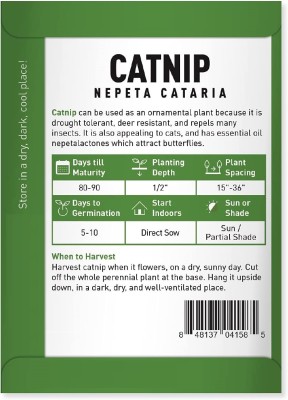 Qualtivate GUA-126 Cat Mint Catwort Catswort Catnip Seed(1000 per packet)