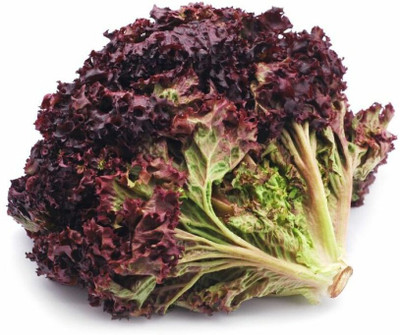 Mozette RedLettuce Vegetable Seed(17 per packet)